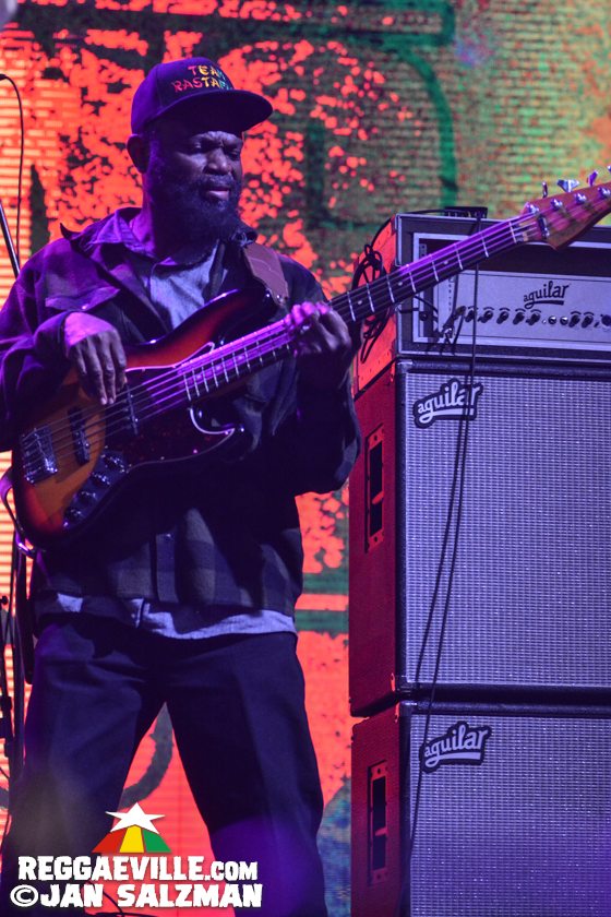 Tribal Seeds, SOJA, Wailing Souls