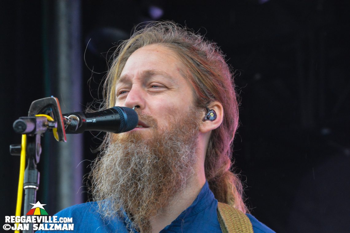 Mike Love, The Green, Katchafire
