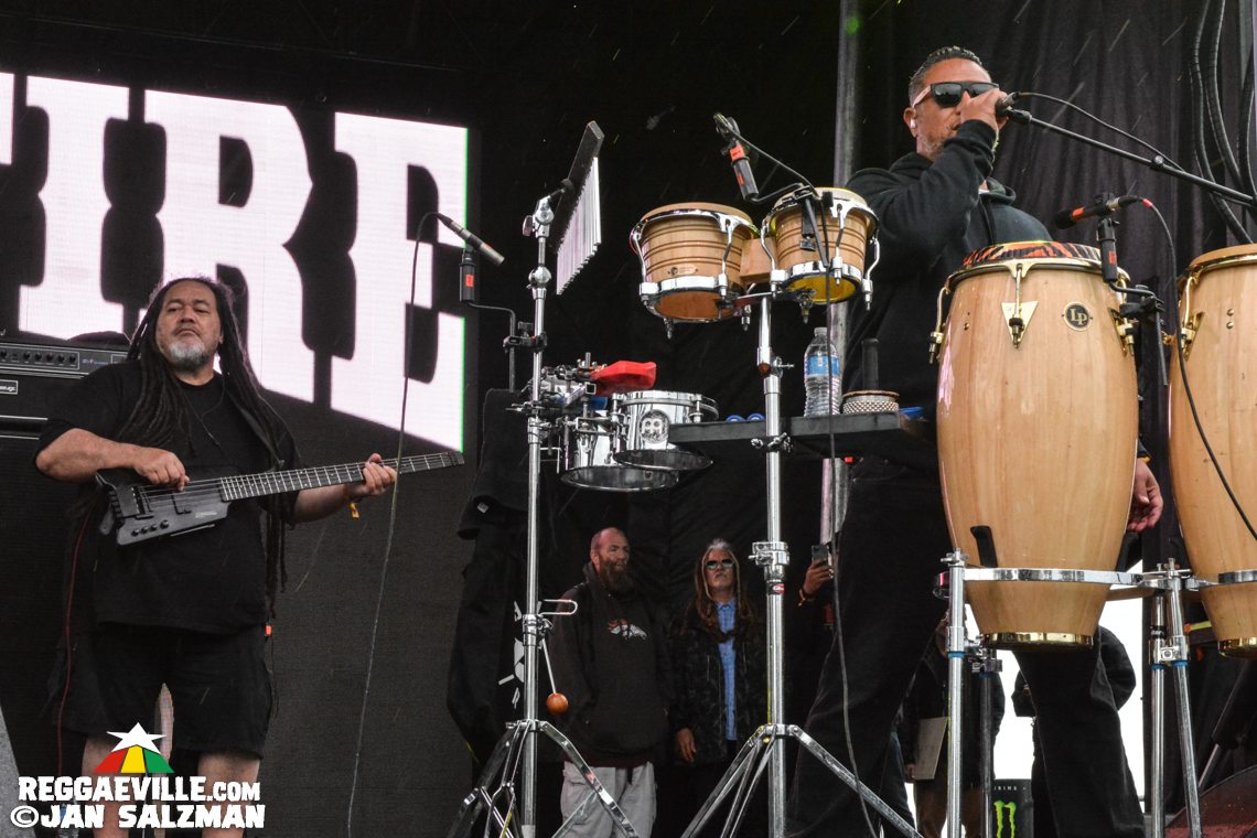 Mike Love, The Green, Katchafire