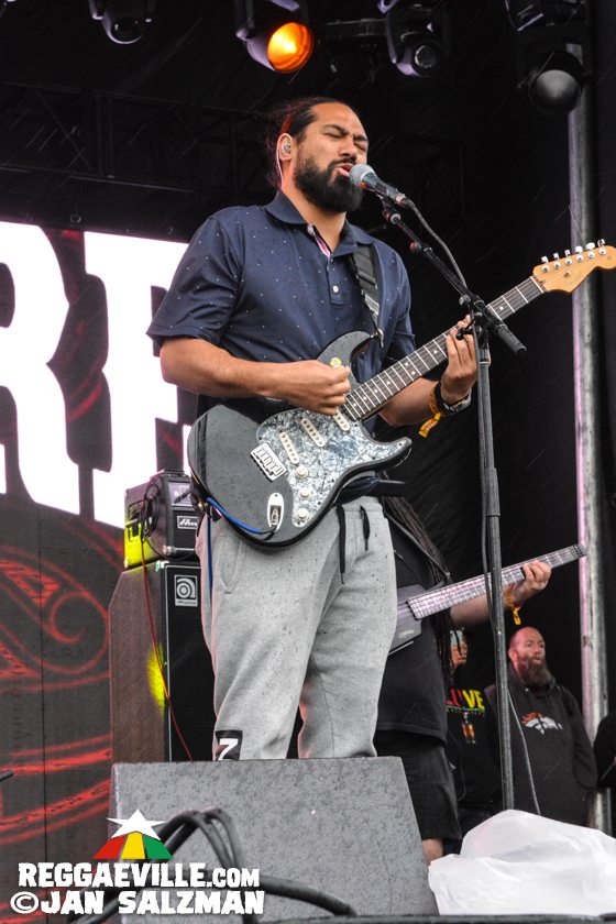 Mike Love, The Green, Katchafire