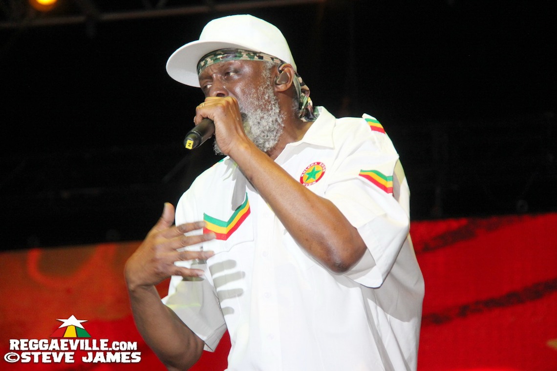 Steel Pulse, Toots & The Maytals