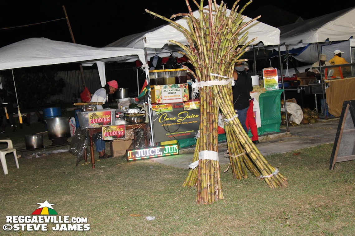 Steel Pulse, Toots & The Maytals