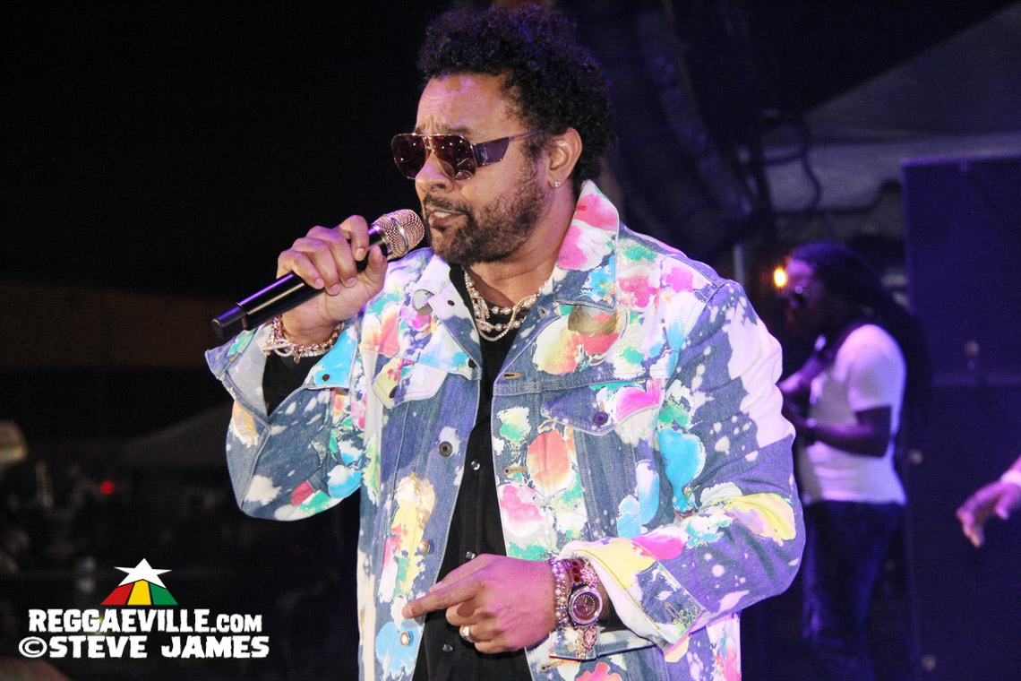 Shaggy, L.U.S.T., Skinny Fabulous