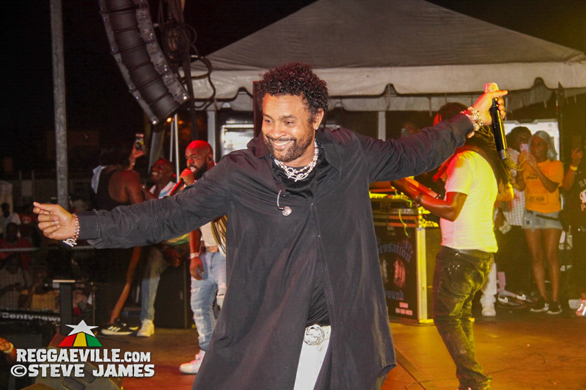 Shaggy, L.U.S.T., Skinny Fabulous