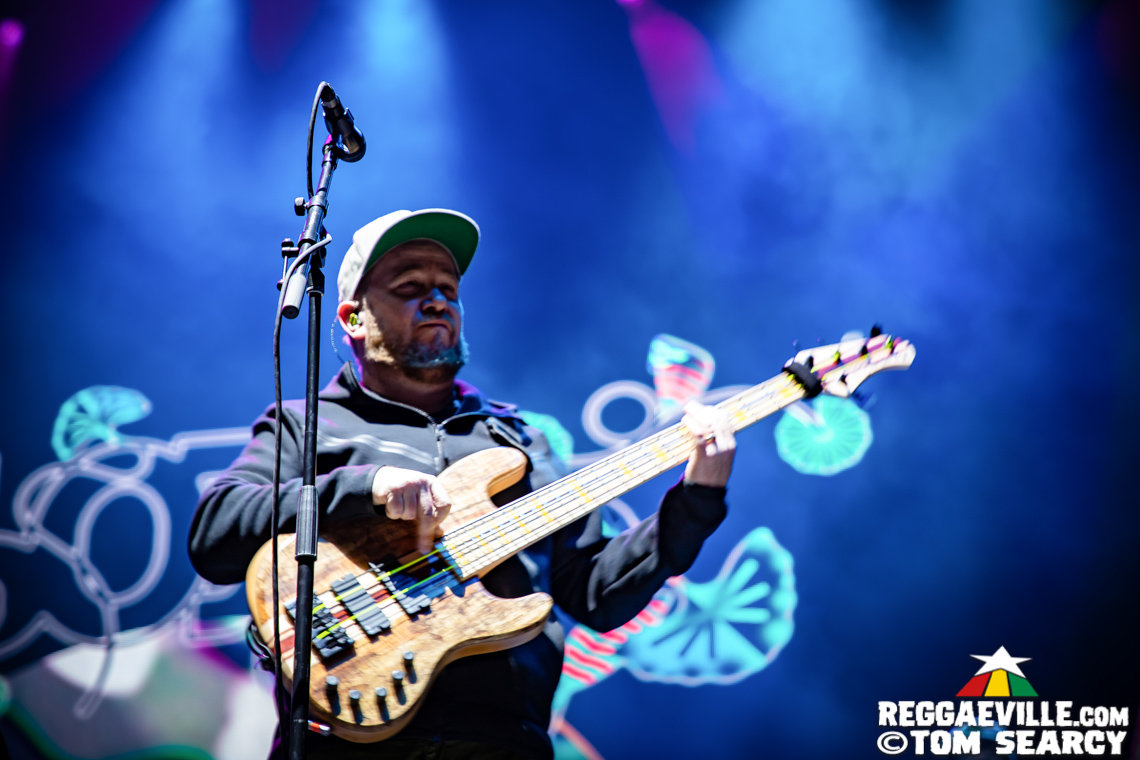 Arise Roots, The Green & SOJA