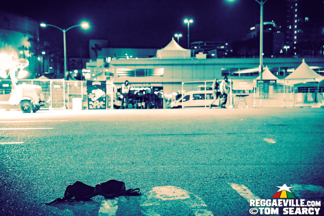 Arise Roots, The Green & SOJA