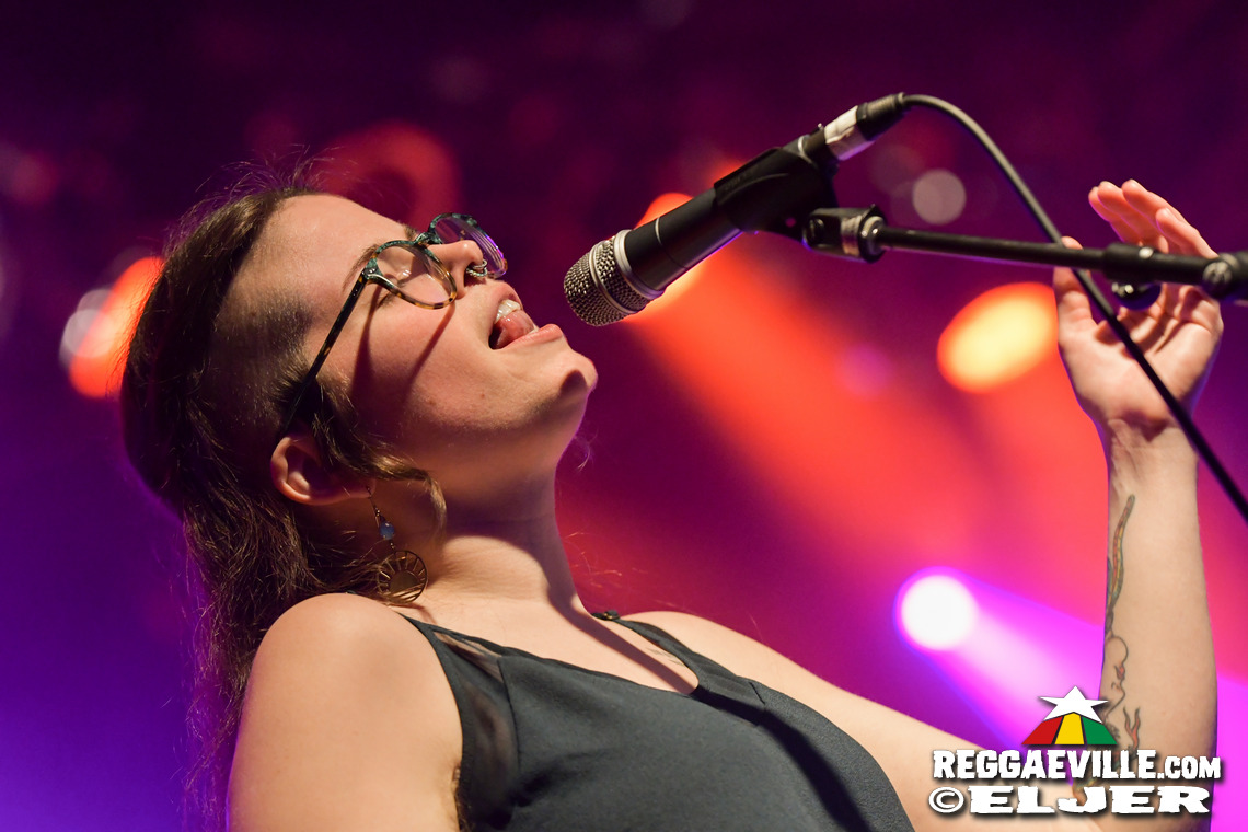 The Bandulus, The Officinalis, The Soul Chance