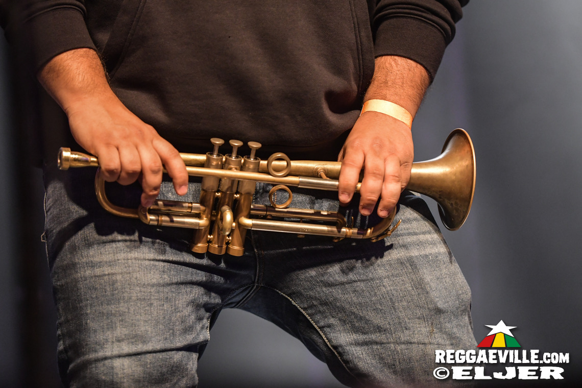 The Bandulus, The Officinalis, The Soul Chance