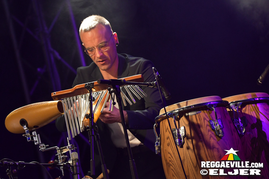 The Bandulus, The Officinalis, The Soul Chance