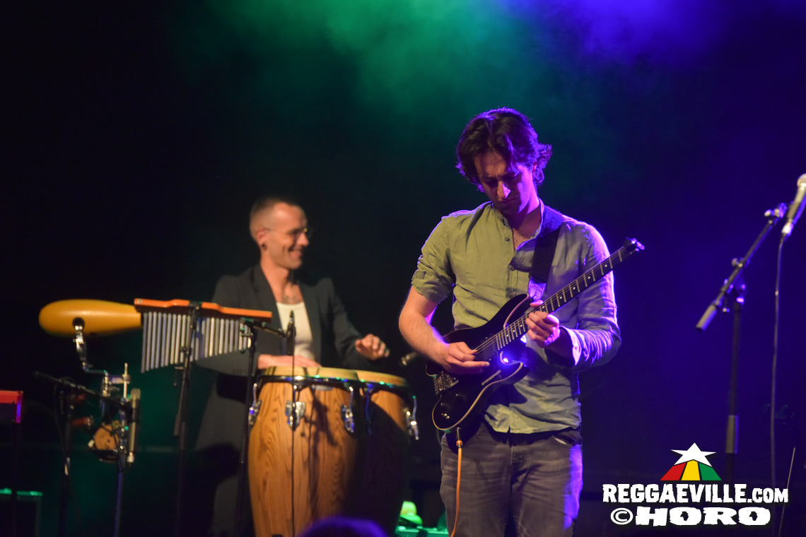 The Bandulus, The Officinalis, The Soul Chance