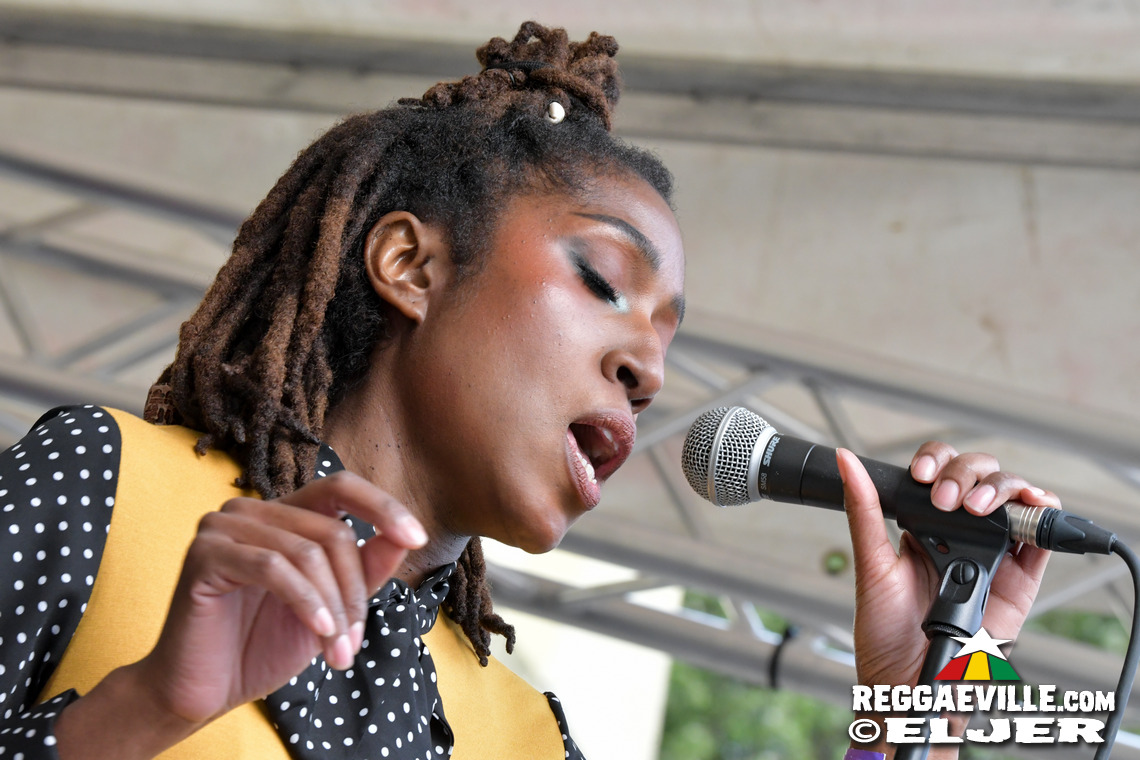 The Bandulus, The Officinalis, The Soul Chance