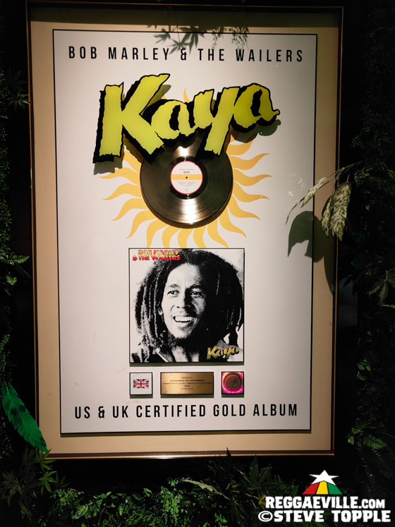 Bob Marley One Love Experience
