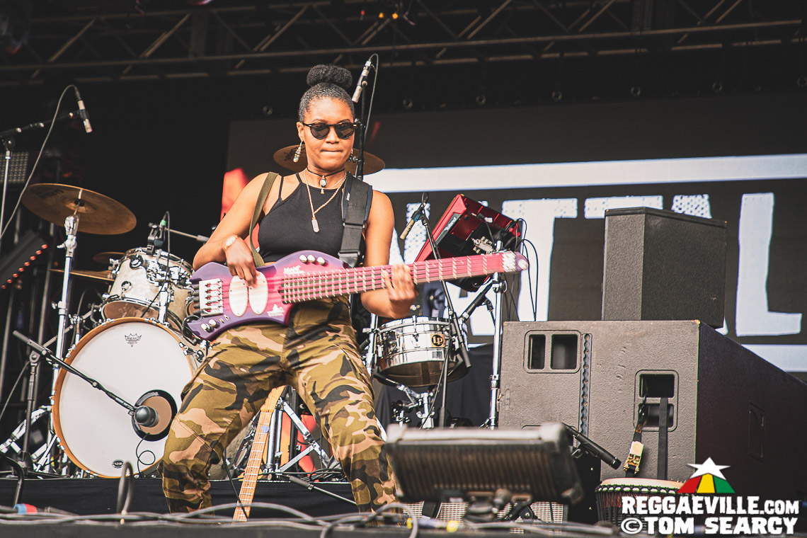 J Boog, Earthkry, Nattali Rize, The Movement, Natural Vibrations