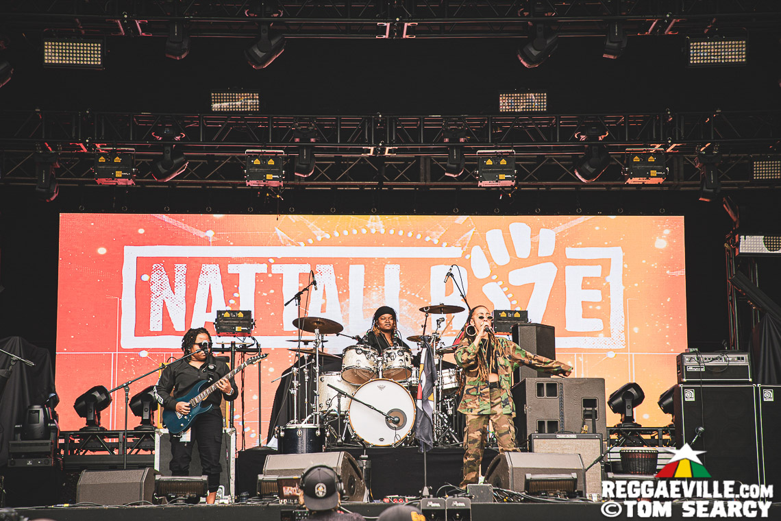 J Boog, Earthkry, Nattali Rize, The Movement, Natural Vibrations