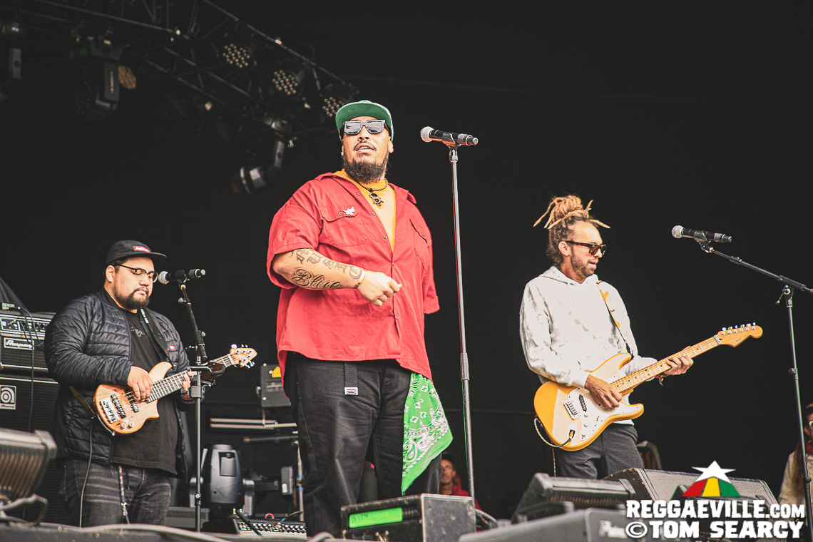 J Boog, Earthkry, Nattali Rize, The Movement, Natural Vibrations