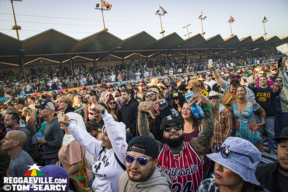 Tribal Seeds feat. Hector Roots Lewis, Stick Figure, Iya Terra