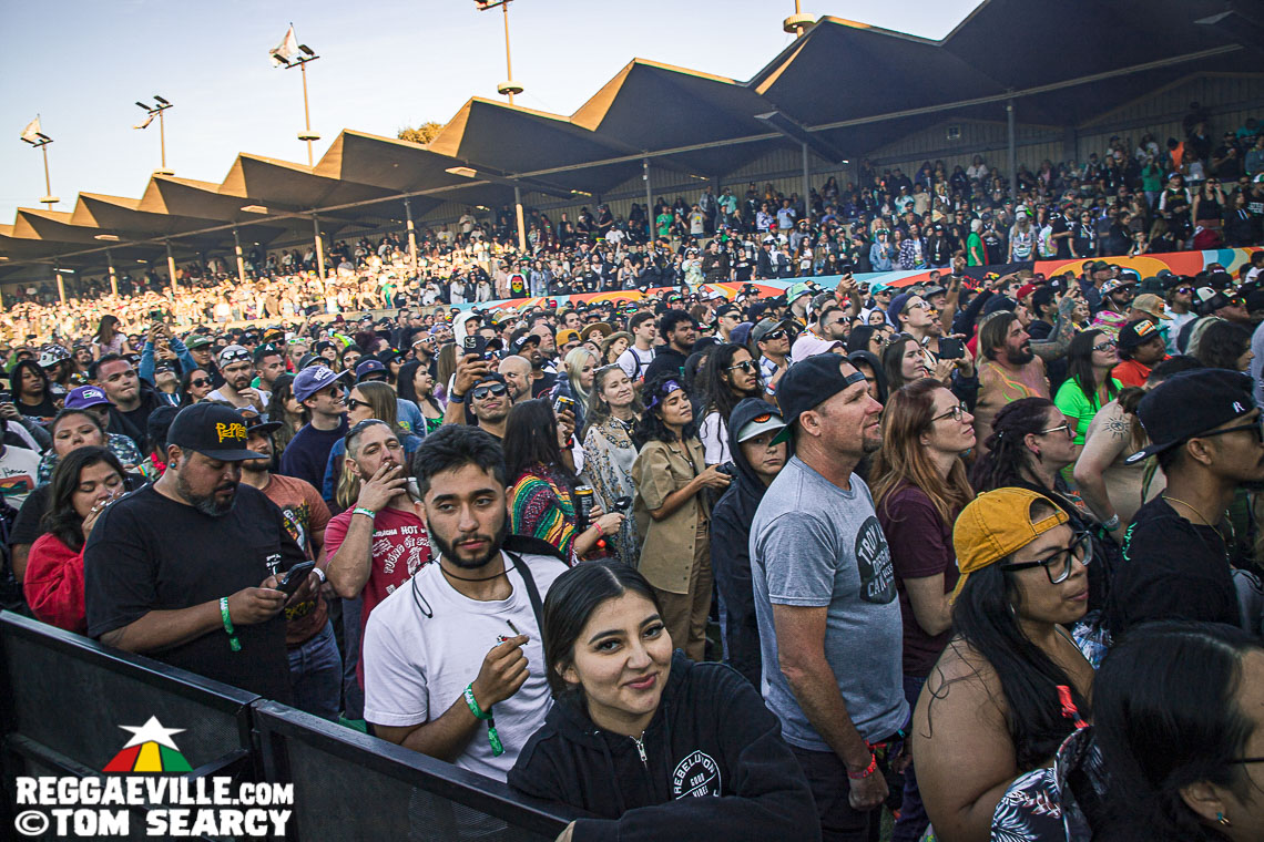 Tribal Seeds feat. Hector Roots Lewis, Stick Figure, Iya Terra