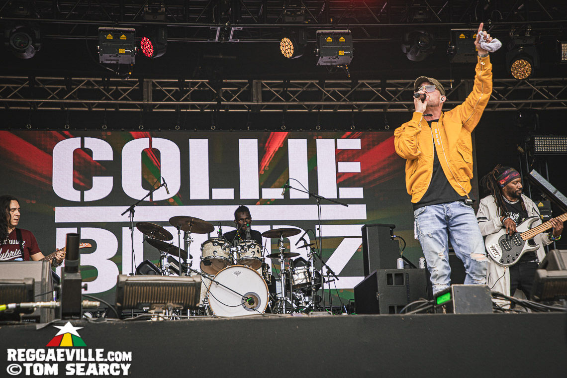 Dub Inc, Collie Buddz, Iya Terra, Arise Roots