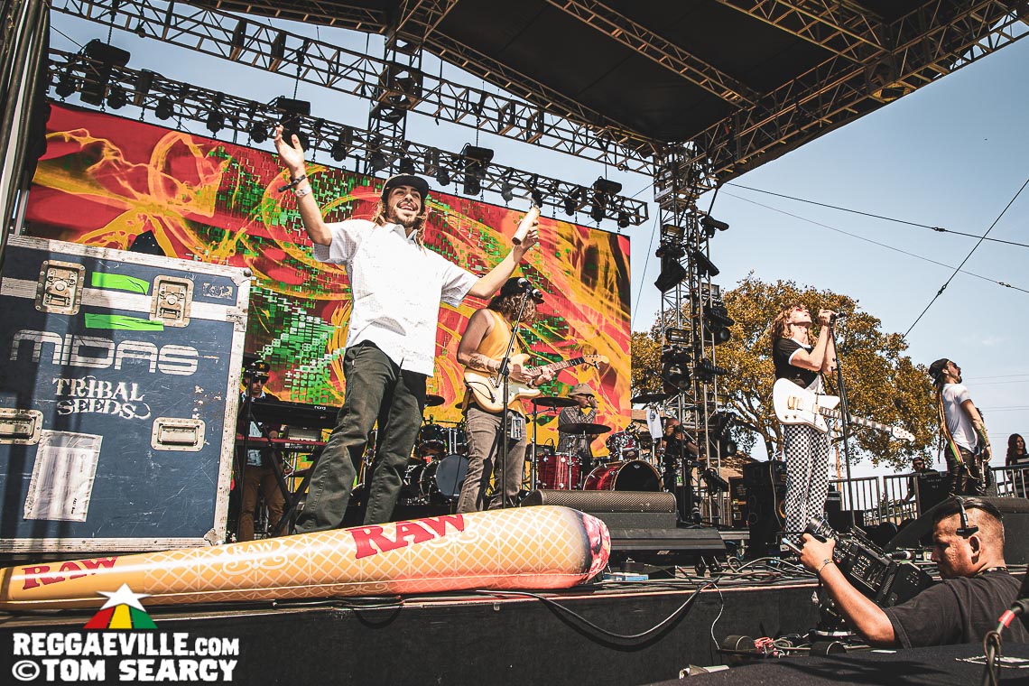 Dub Inc, Collie Buddz, Iya Terra, Arise Roots
