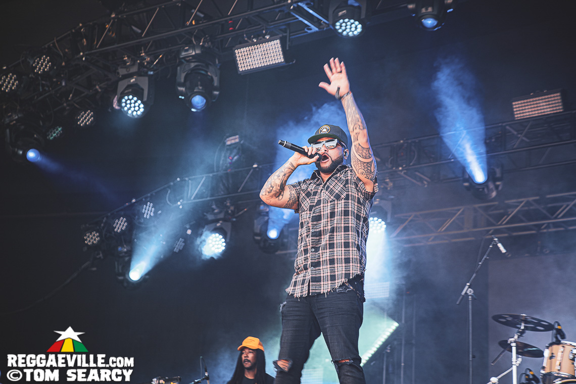 Damian Marley, Anthony B, Sublime with Rome, Mike Love, Common Kings, Ice Cube
