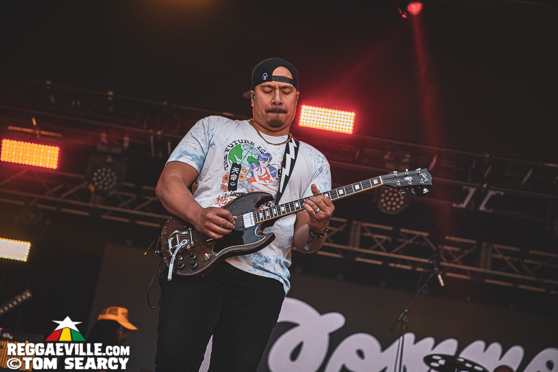 Damian Marley, Anthony B, Sublime with Rome, Mike Love, Common Kings, Ice Cube