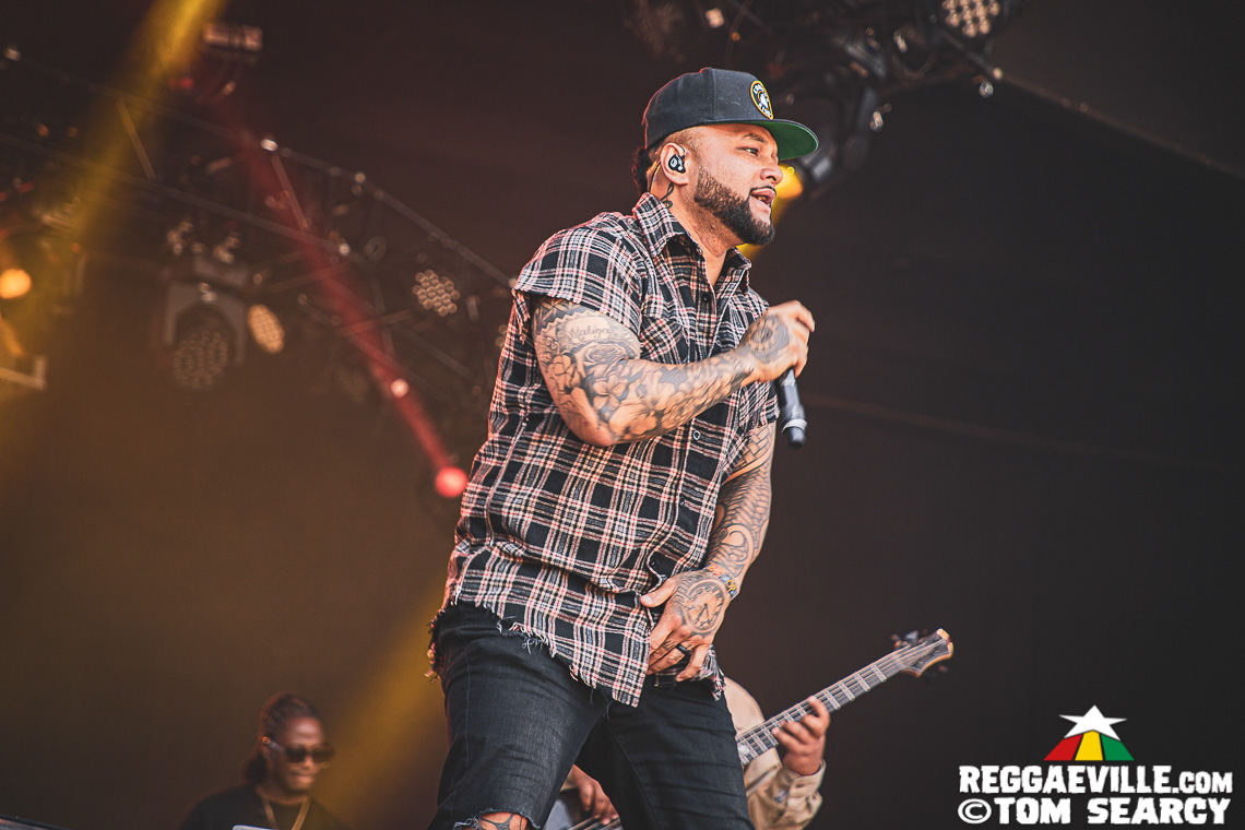 Damian Marley, Anthony B, Sublime with Rome, Mike Love, Common Kings, Ice Cube