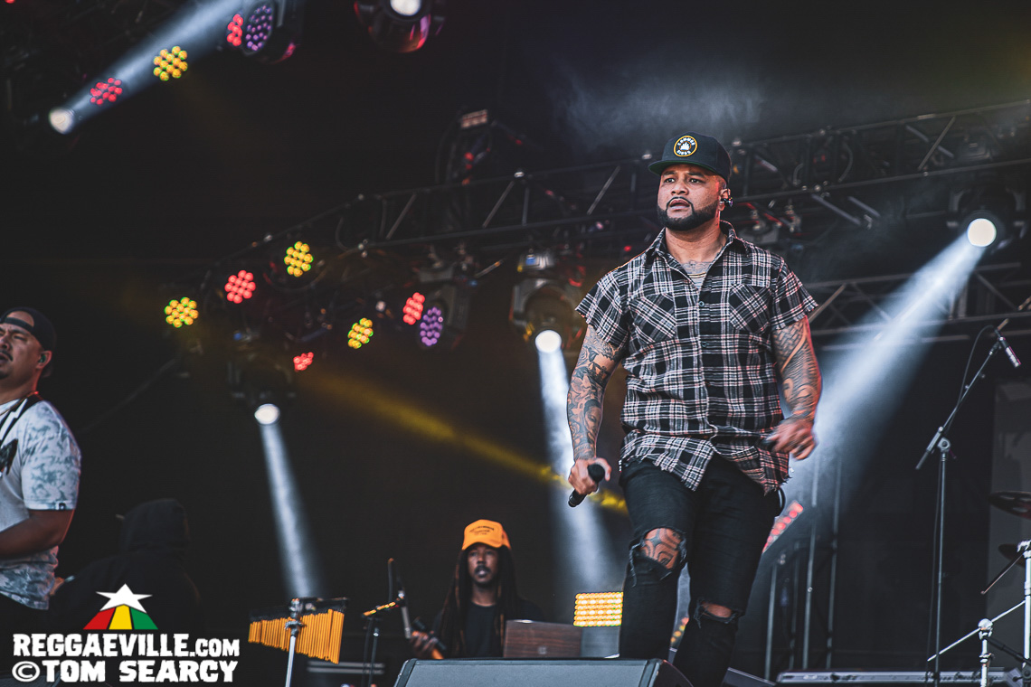 Damian Marley, Anthony B, Sublime with Rome, Mike Love, Common Kings, Ice Cube
