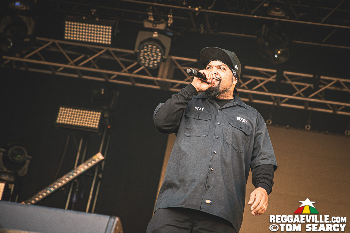 Damian Marley, Anthony B, Sublime with Rome, Mike Love, Common Kings, Ice Cube