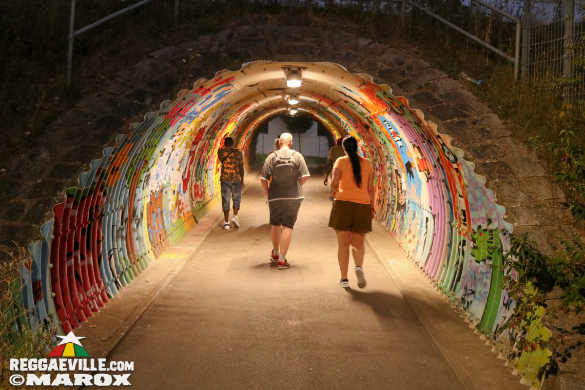 Gentleman, Junior Carl with Bay-C, D4azzy