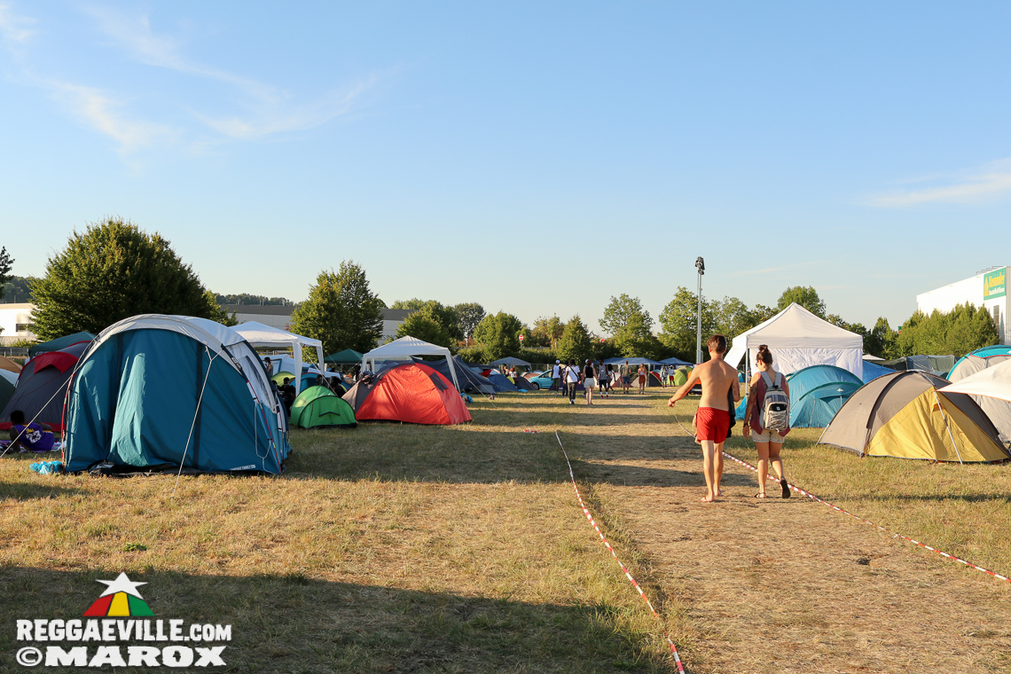 Gentleman, Junior Carl with Bay-C, D4azzy