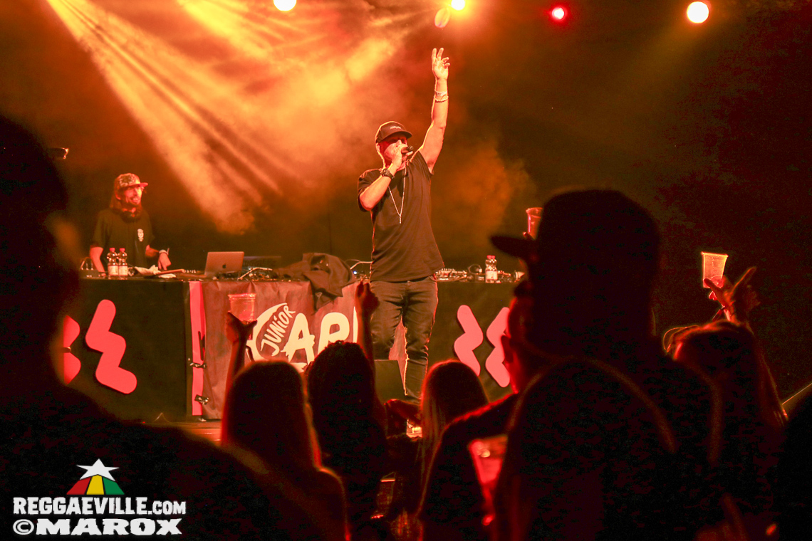 Gentleman, Junior Carl with Bay-C, D4azzy