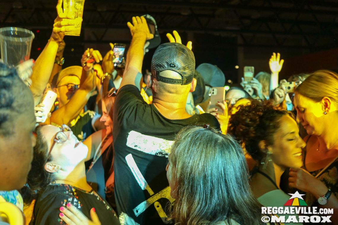 Gentleman, Junior Carl with Bay-C, D4azzy