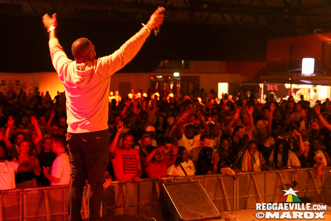 Bay-C, Agent Sasco, Ratigan Era, Stereo Luchs