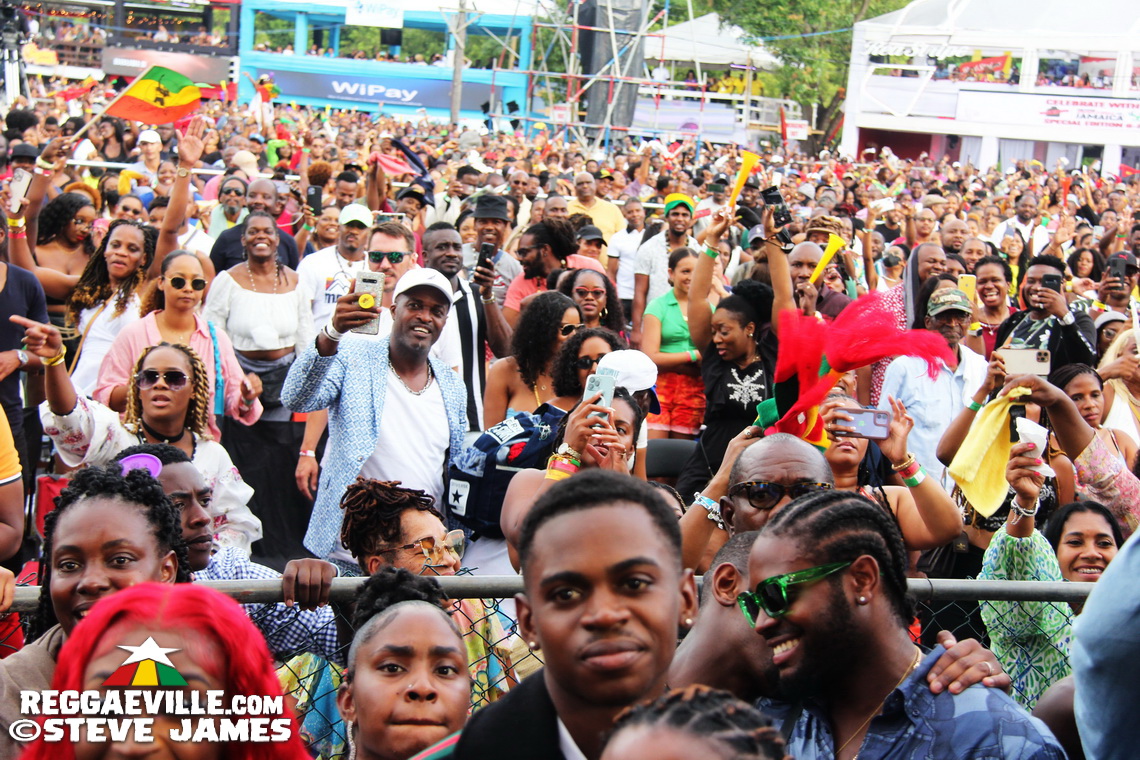 Madhouse Tribute to Dave Kelly