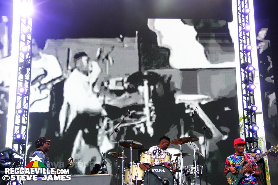 Madhouse Tribute to Dave Kelly