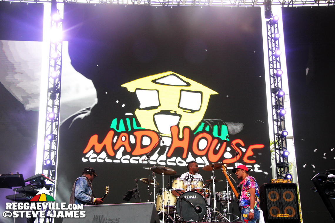 Madhouse Tribute to Dave Kelly