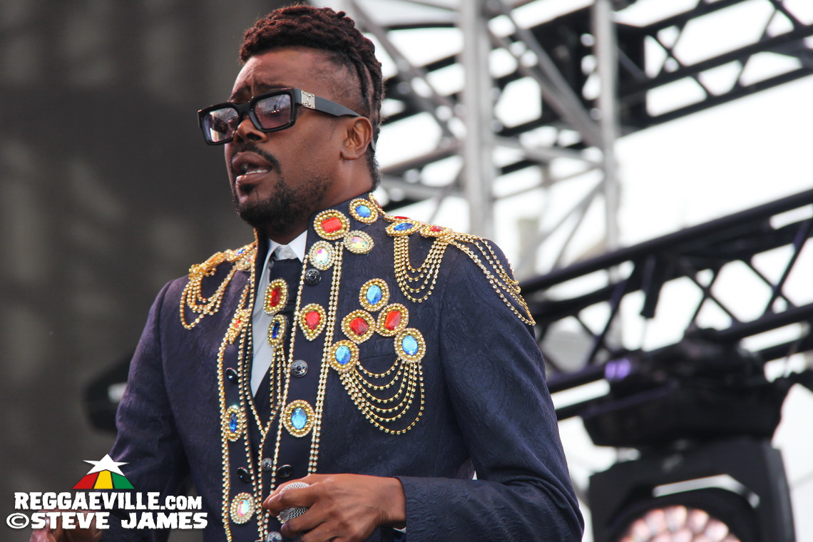 Madhouse Tribute to Dave Kelly