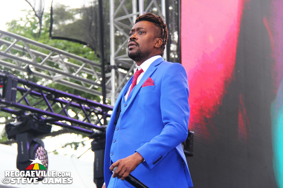 Madhouse Tribute to Dave Kelly