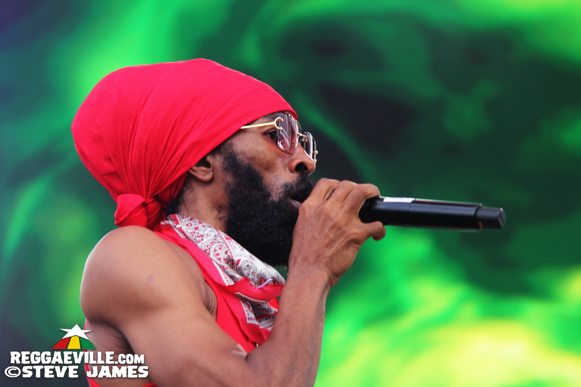 Madhouse Tribute to Dave Kelly