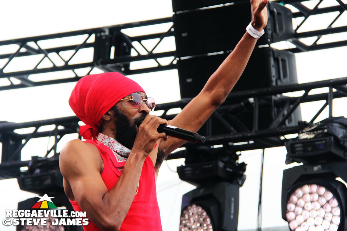 Madhouse Tribute to Dave Kelly