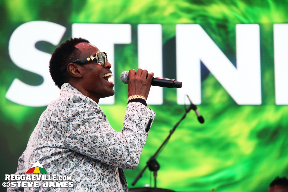 Madhouse Tribute to Dave Kelly