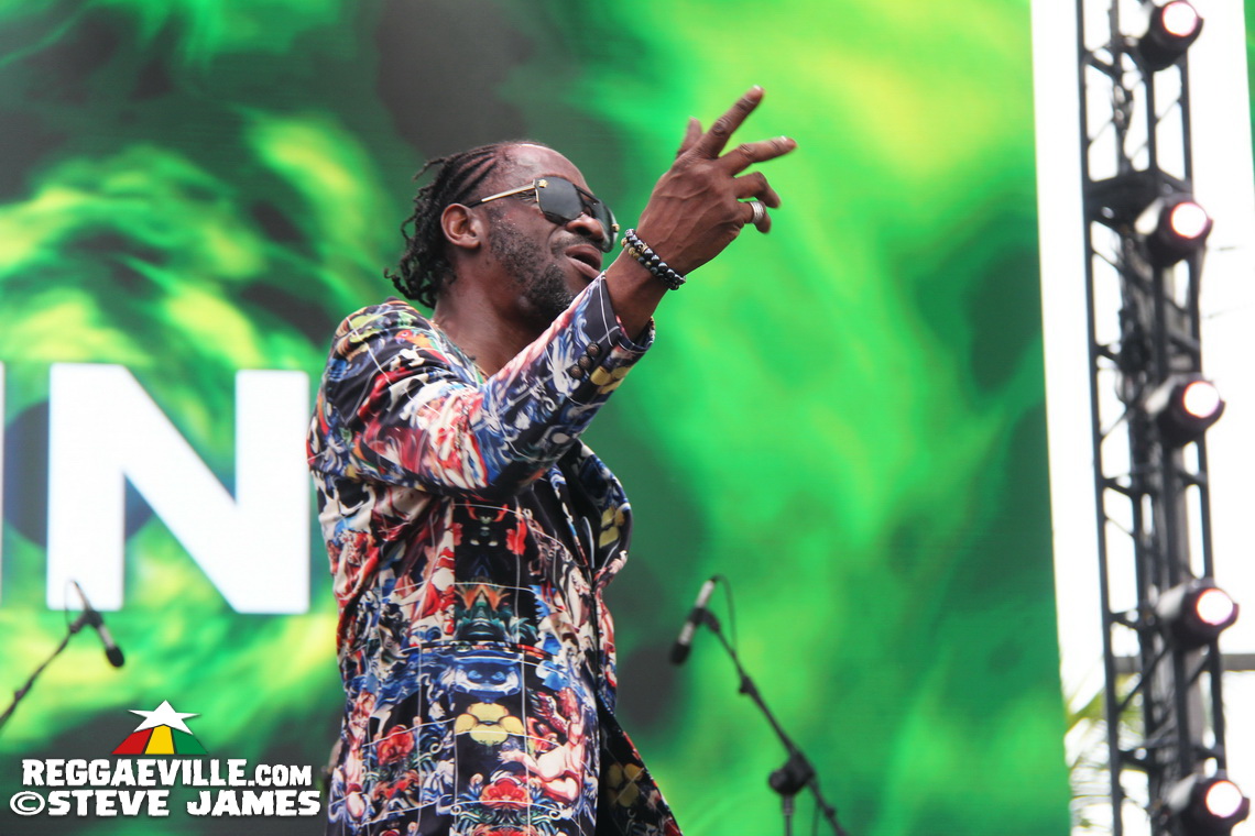 Madhouse Tribute to Dave Kelly