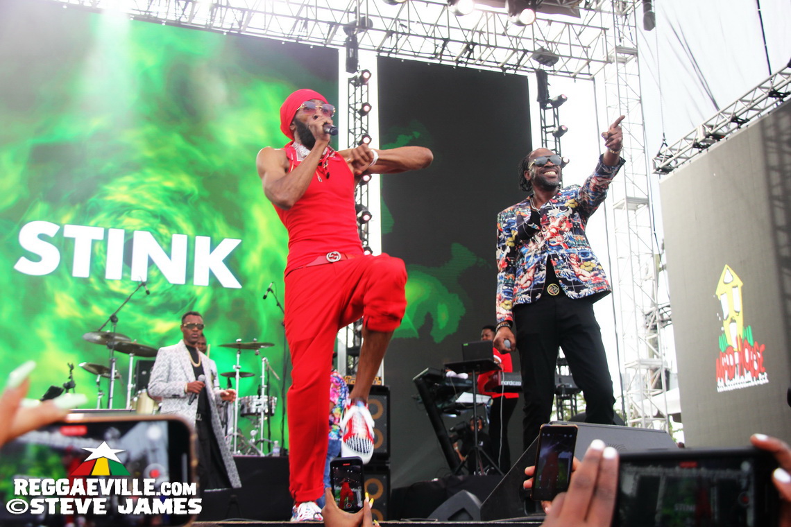 Madhouse Tribute to Dave Kelly