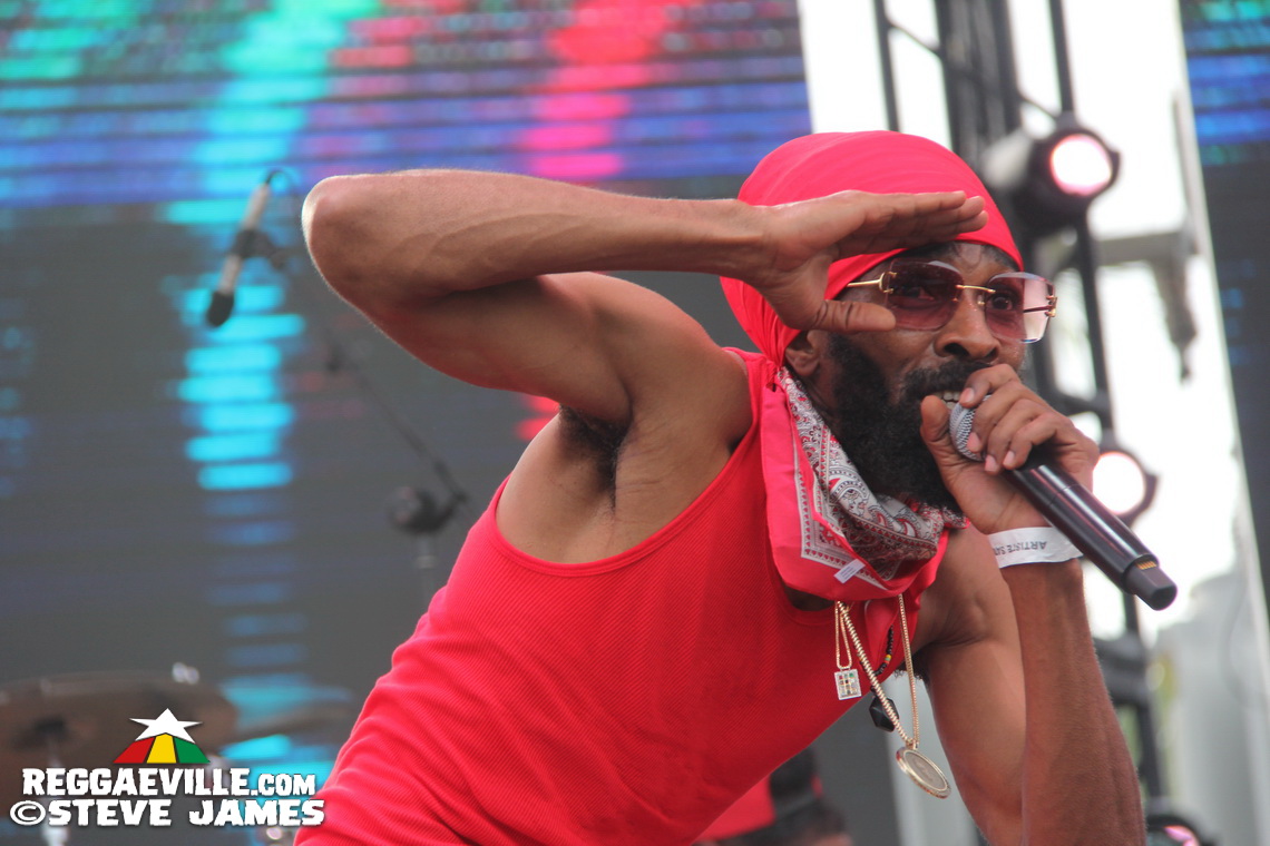 Madhouse Tribute to Dave Kelly