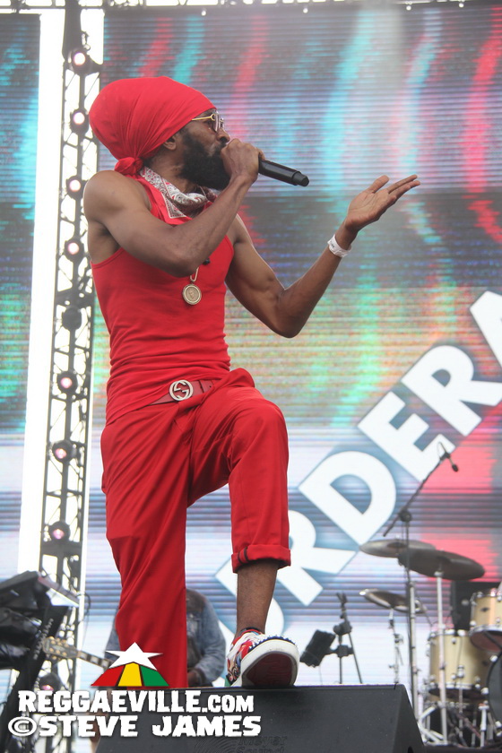 Madhouse Tribute to Dave Kelly