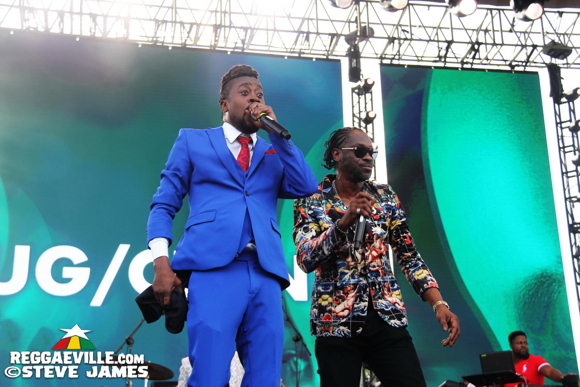 Madhouse Tribute to Dave Kelly