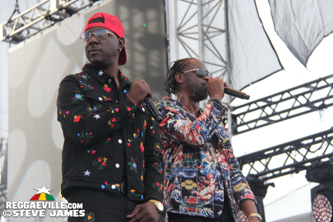 Madhouse Tribute to Dave Kelly