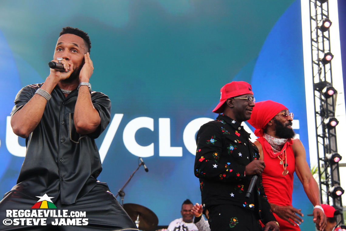 Madhouse Tribute to Dave Kelly