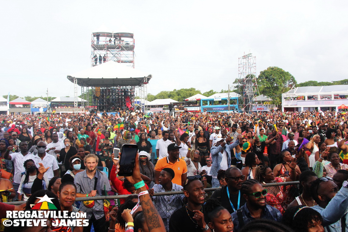 Madhouse Tribute to Dave Kelly