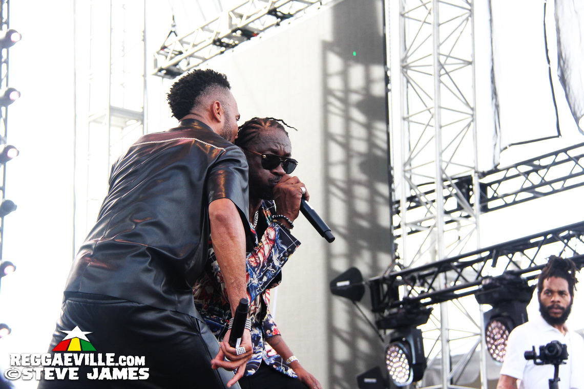 Madhouse Tribute to Dave Kelly